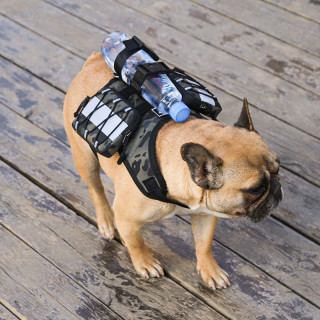Dog Backpack